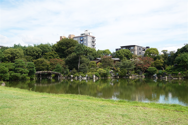 DSC09985_R
