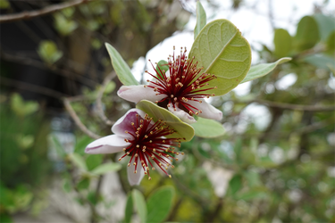 DSC08022_R