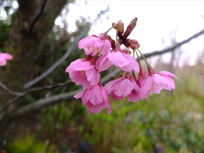 DSCF1584_R