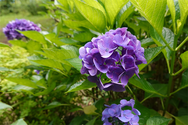 DSC08452_R