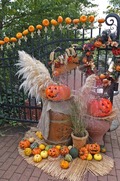 DSCF6356_R