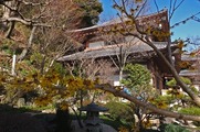 DSCF0722_R