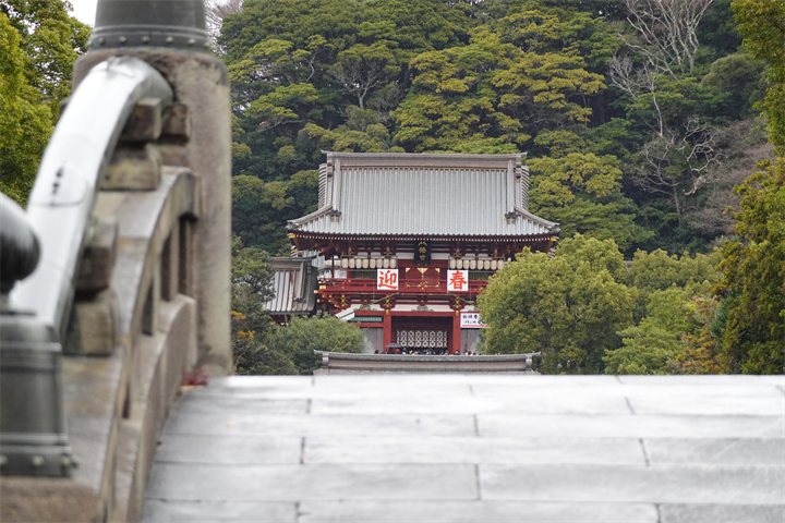 「藍川京」の部屋 : 鎌倉 鶴岡八幡宮 - livedoor Blog(ブログ)