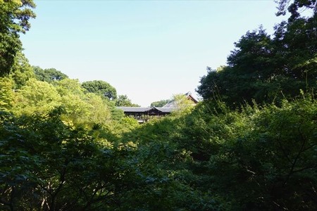 DSC02503_R