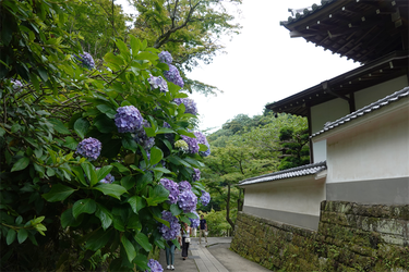DSC08653_R