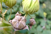 DSCF6940_R
