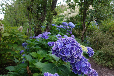 DSC08355_R