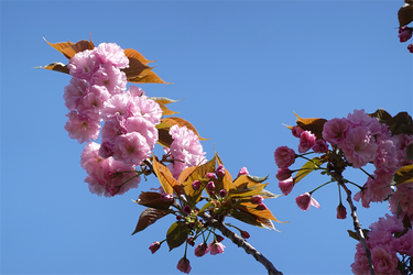 DSC06603_R