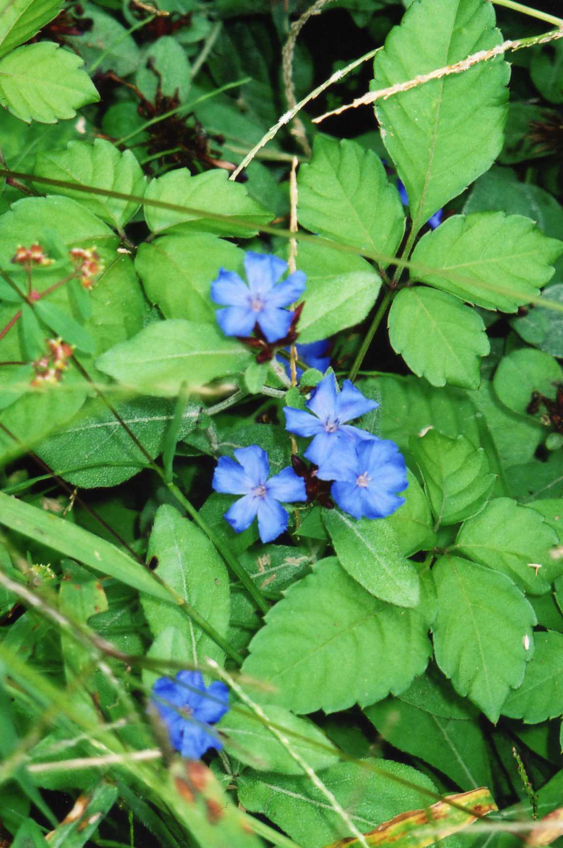 藍川京 の部屋 07年10月24日 Livedoor Blog ブログ