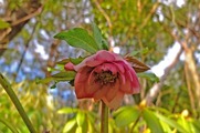 DSCF0424_R
