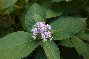 DSC07685_R