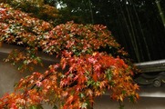 DSCF7347_R