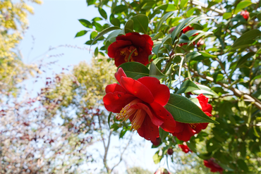 DSC06179_R