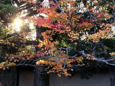 DSCF9578_R