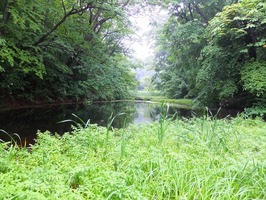 DSCF0867_R