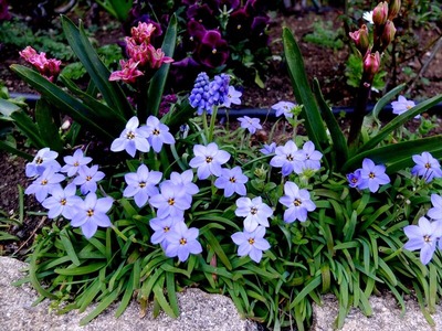 DSCF4943_R