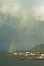 DSC09563_R (1)