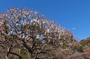 DSCF0757_R