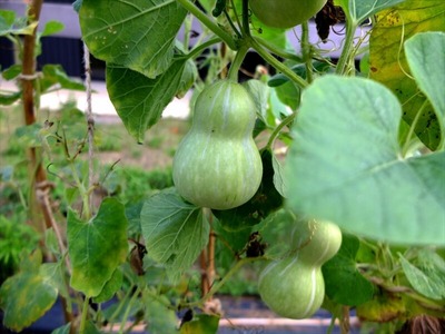 DSCF5519_R