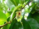 DSCF2669_R