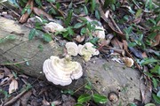 DSCF9510_R