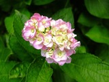 DSCF2671_R