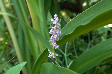 DSC08803_R