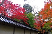 DSCF7469_R