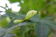 DSCF5053_R