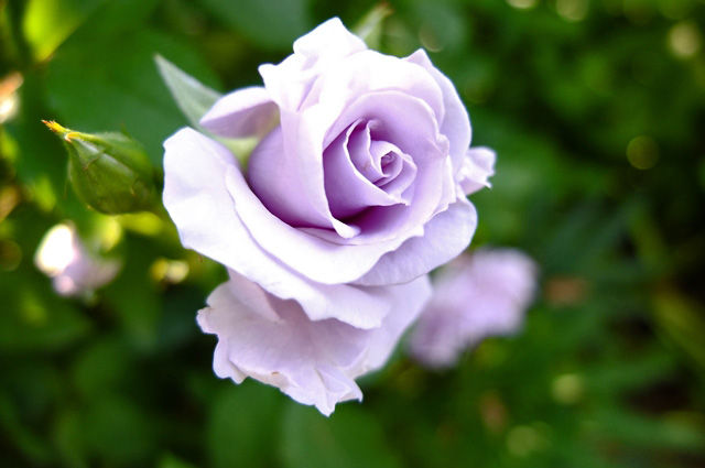 DSCF2192_R