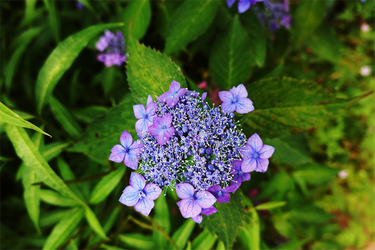 DSC08118_R