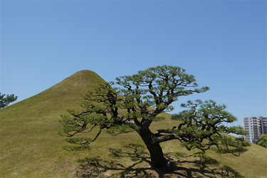 DSC07865_R