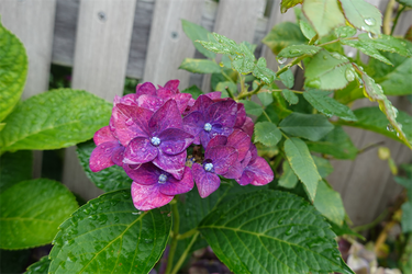 DSC08600_R