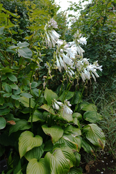 DSC09065_R