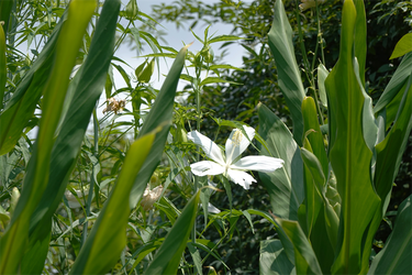 DSC08876_R