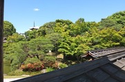 DSCF3938_R