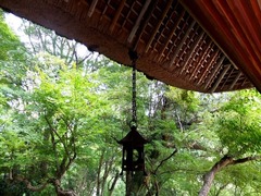 DSCF9446_R