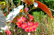 DSCF4313_R