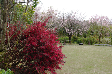 DSC06551_R