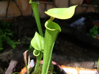 DSCF1381_R