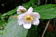 DSCF2972_R