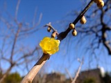 DSCF5483_R