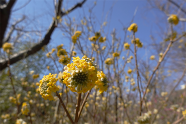 DSC05947_R
