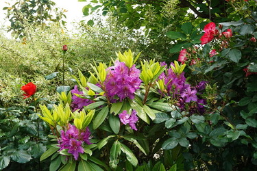 DSC07544_R (1)
