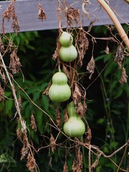 DSCF6183_R