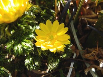 DSCF8283_R