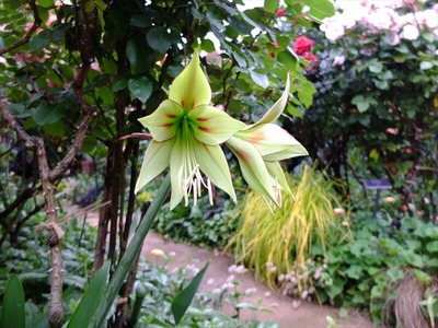 DSCF2975_R