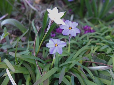 DSCF4775_R