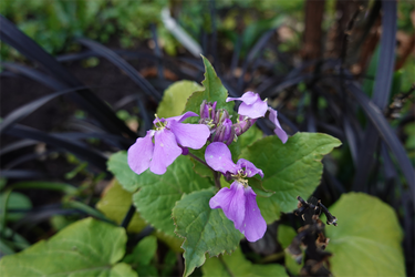 DSC00320_R