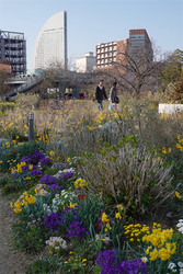 DSC00603_R